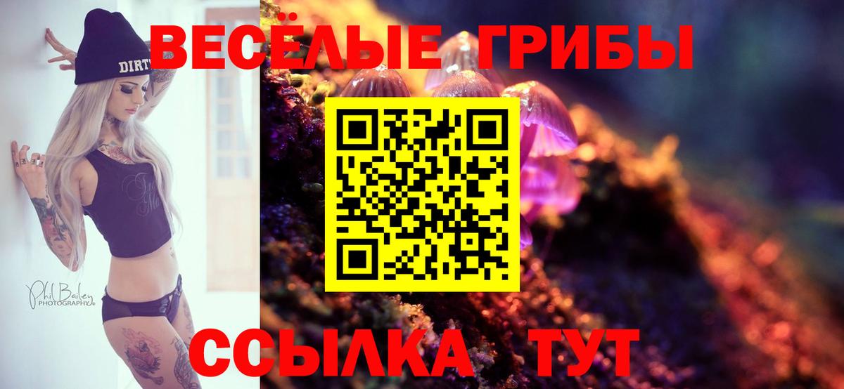 Галлюциногенные грибы Magic Shrooms Железногорск